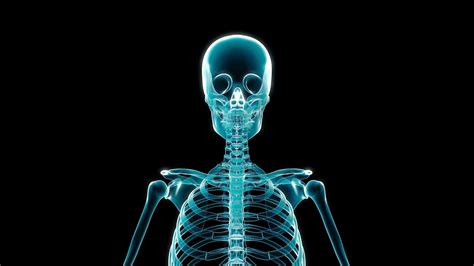 X Ray Of Human Skeleton Youtube