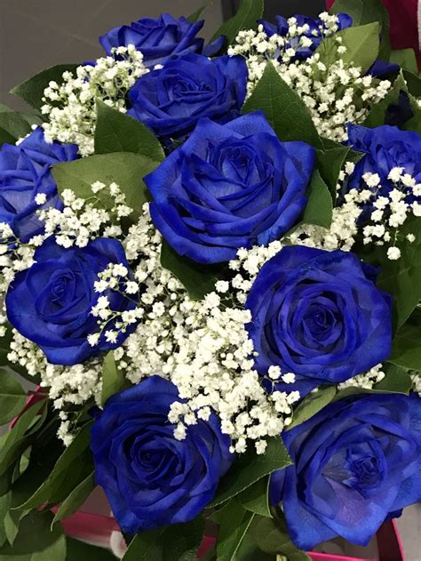 Fiore blu violetto in 5 lettere. Sfumature di blu per un dolce #buongiorno! 💙 #rose # ...