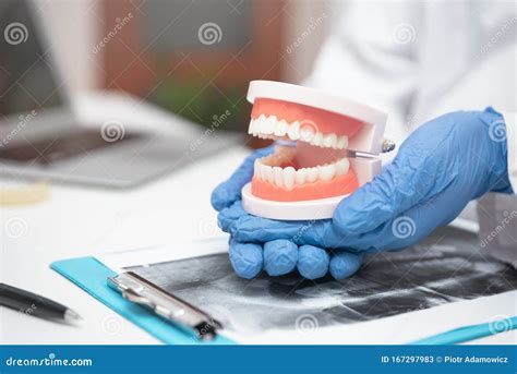 Dentist Consultation How To Care For Healthy Teeth Stock Image Image