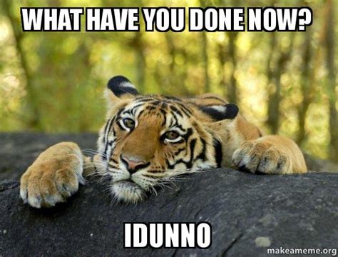 What Have You Done Now Idunno Confession Tiger Make A Meme