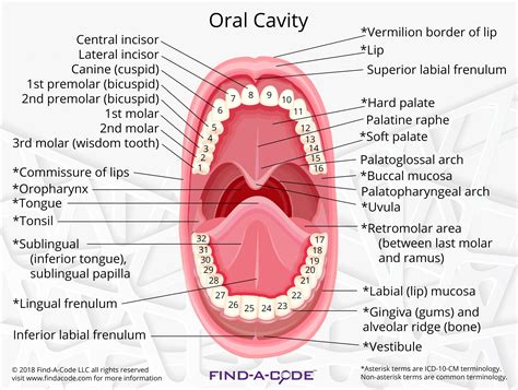 Dental Articles And Resources