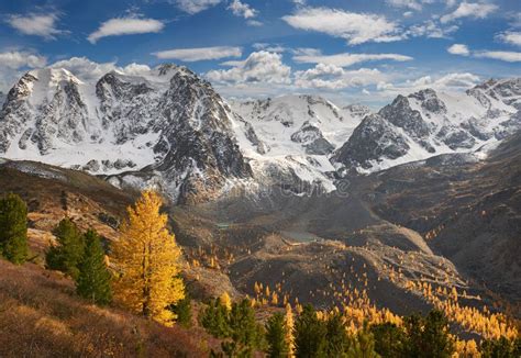 Altai Mountains Russia Siberia Stock Image Image Of Larch Altai