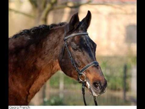 Prince florestan i, prince of monaco (en). florestan 1 - YouTube