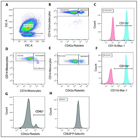 Flow Cytometry Gating Strategy Granulocyte And Monocyte Populations