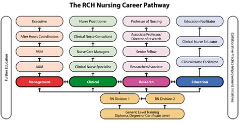 Nursing Services Nursing Career Pathway