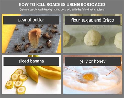 Before diving into how to get rid of roaches, it's important to understand what attracts them. How to Get Rid of Cockroaches: 5 Best Roach Killers 2020