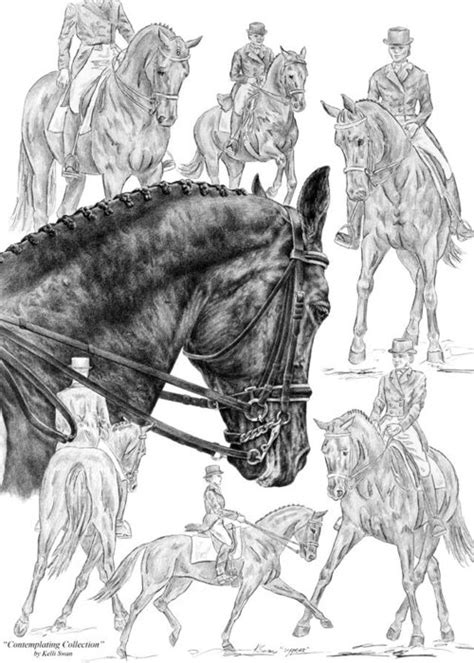 Crowd Pleasers Clydesdale Draft Horse Art Print Greeting Card For