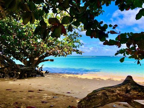Anini Beach In Kauai Humble Expeditions Best Beaches To Visit Kauai Travel Kauai