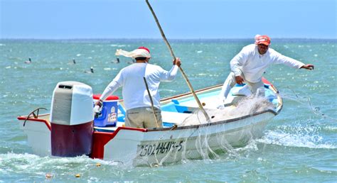 Pesca Mexicana Actividad Inmensa Como El Mar Revista La Campiña