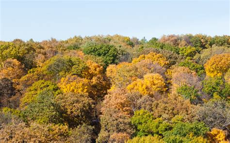 10 Destinations To See Peak Fall Colors In Minnesota