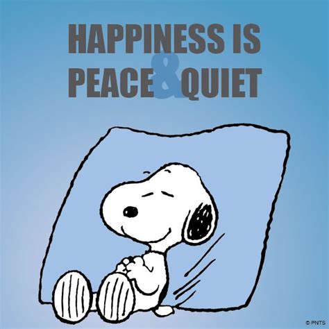 Happiness Is Peace And Quiet Snoopy Pinterest