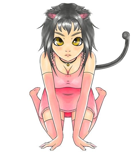 Anime Cat Girl  Transparent