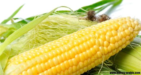 أشواقندا أو أشواجندا فوائد عظيم وكنز صحي شرح مبسط عنها ashwagandha اللي حاب يطلب المنتج يتواصل معاي بحسابي بالانستقرام: لحية الذرة أيضا يسم الشاي ، و كذلك نستخدمه بالشاي .و فيها ...