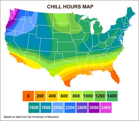 These are calculated for when the fruit tree is preparing itself to enter dormancy for winter. Chill Hours