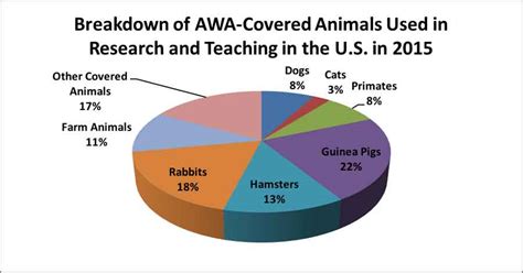 Animal Research Numbers Continue Downward Trend National
