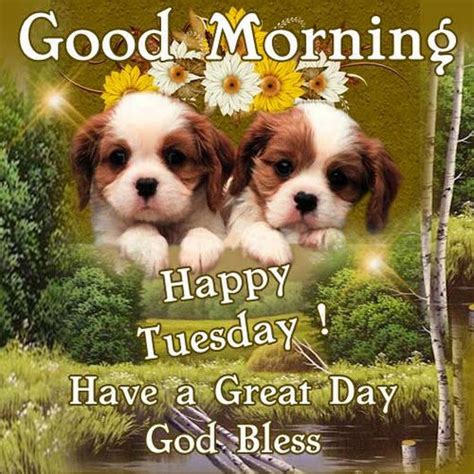 Good Morning Happy Tuesday Have A Great Day God Bless Pictures