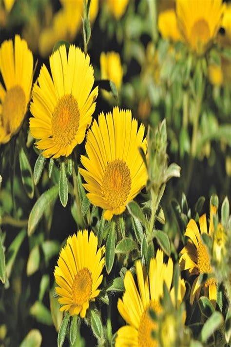 · berikut merupakan karakteristik dari kas kecuali, a. Contoh Soal Akuntansi Biaya Overhead Pabrik - Kunci Soal