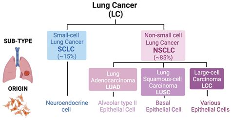 폐암overview Of Lung Cancer 네이버 블로그