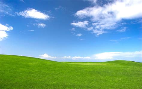 🔥 49 Windows Xp Bliss Wallpaper Now Wallpapersafari