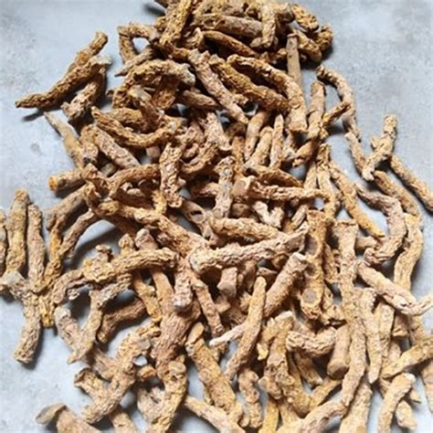 Piece Dried Haldi Desi Organic Yellow Raw Turmeric Finger At Best Price