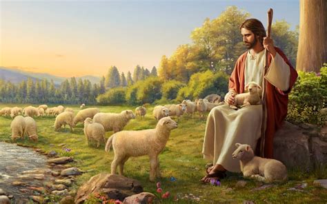 Jesus Good Shepherd Lambs Jesus Good Shepherd Sheep Hd Wallpaper