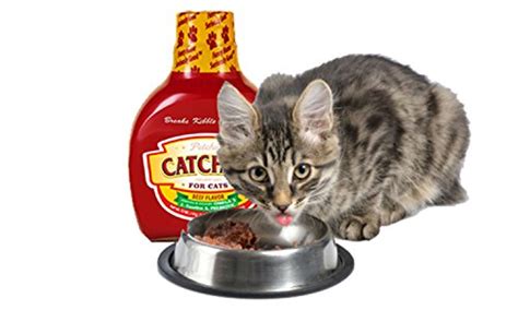 Unlike dogs, cats are obligate carnivores, warns dr. Petchup Nutritional Dry Cat Food Gravy. Holistic Cat Food ...