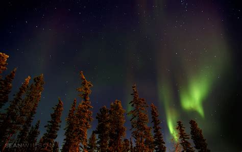 Whitehorse Northern Lights Photo Taken From Our Backyard I Flickr