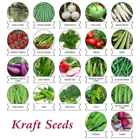 Green leafy vegetables have many proven health benefits and can be eaten raw or cooked. Indian Green Vegetables List