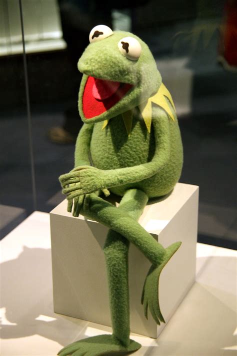Kermit The Frog Smithsonian Museum Of Natural History Flickr