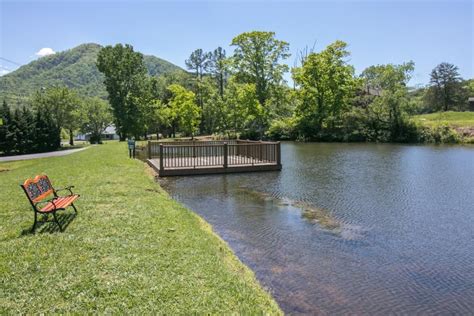 We have stayed in a lot of cabins in the smokies but we like black bear hollow they are clean, beautifully furnished, well supplied & very well placed so that you are not on top of another cabin. Two Bears Cabin - Sevierville, TN (With images) | Bear ...