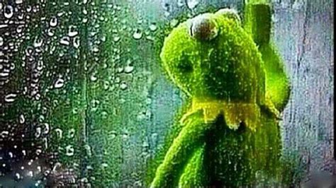 Kermit Looking Out Window Rain ♥me When Wrecking Ball Gets Disabled