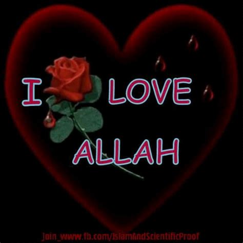 I Love Allah Allah Quotes My Love Allah