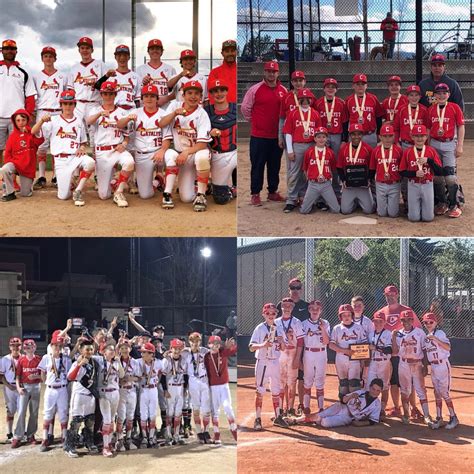 Youth Baseball Teams Catalyst Baseball Academy
