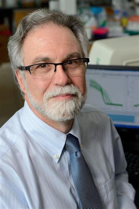 Hopkins Doctor Wins 2019 Nobel Prize For His Hypoxia Discovery Wbff
