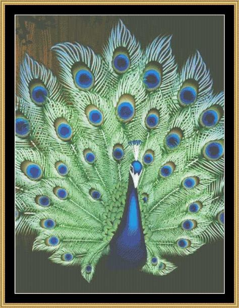Dmc 100% cotton floss 33 colors 14 count white cotton fabric for cross stitch needle finished size 36.5 * 49 cm click picture to zoom. 15 best Peacock and Phoenix cross stitch images on ...