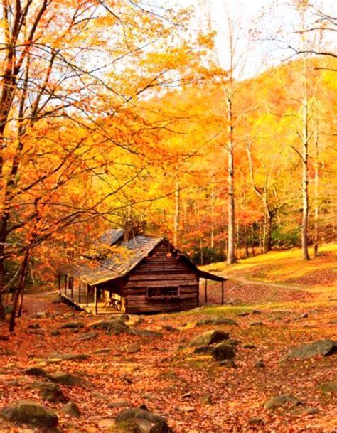 Autumn At The Cabin Autumn Scenery Fall Pictures Autumn Scenes
