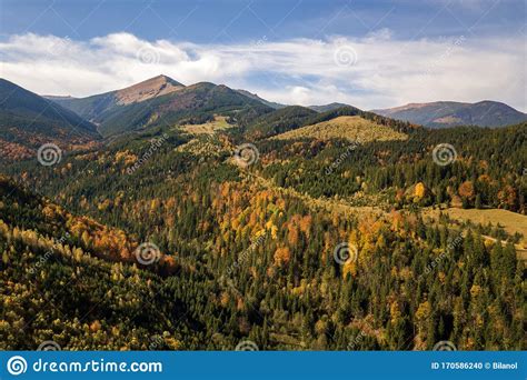 Aerial View Of Autumn Mountain Landscape With Evergreen Pine Trees And
