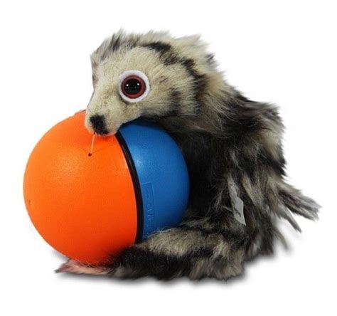Ball Weasel Ball This Toy Is So Popular With Kids Dogs And Cats In