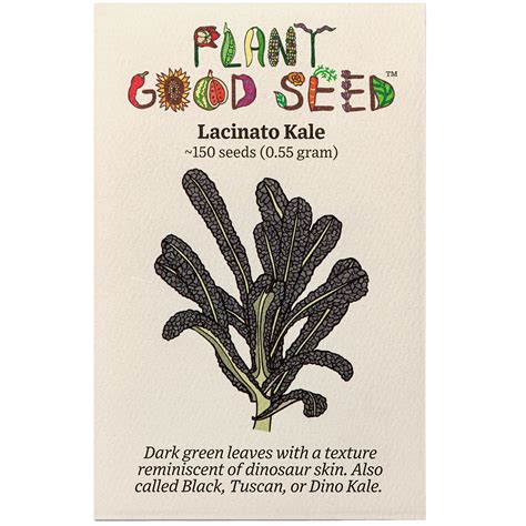 Lacinato Kale Seeds The Plant Good Seed Company