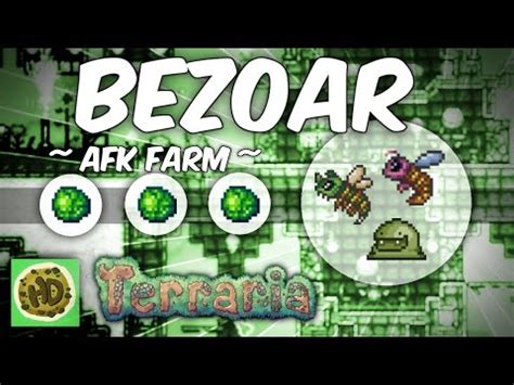 I tried to be as detailed as possible. Terraria AFK Bezoar Farm (Ankh Charm Series #1) - YouTube