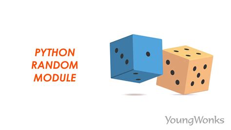 Python Random Module 이미지