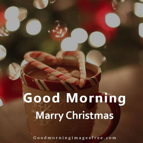 185 Best Good Morning Christmas Images And Christmas Good Morning Quotes