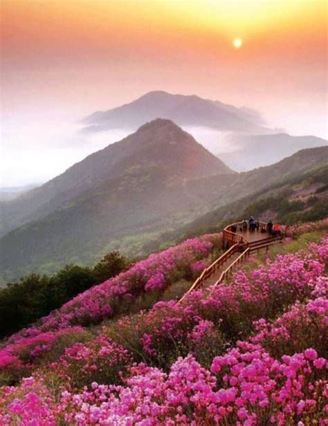 La Corée Du Sud Schöne Natur Reisen Weltwunder