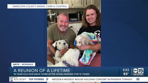 AWESOME! Phoenix dog reunited with family 12 years after going missing