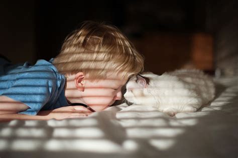 Photographer Captures Bond Between Her Boys And Their Cats