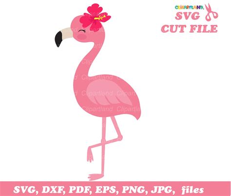 instant download flamingo svg cut files and clip art cf 3 etsy ireland