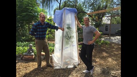 We did not find results for: How to Frost Protect Your Tropical Fruit Trees - YouTube