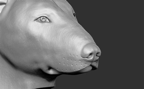 Artstation Bull Terrier Dog Head For 3d Printing Resources