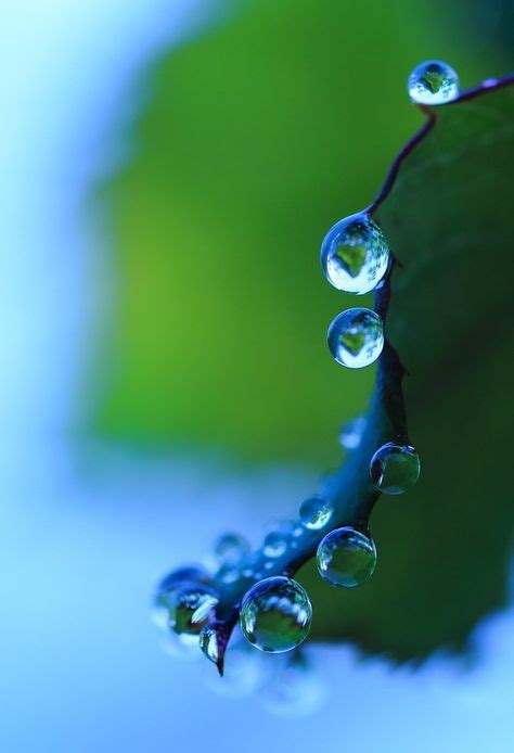 Blue And Green Water Droplets Macro Photography Water