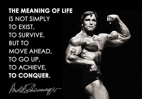 100 Most Famous Arnold Schwarzenegger Quotes Wisheshippo